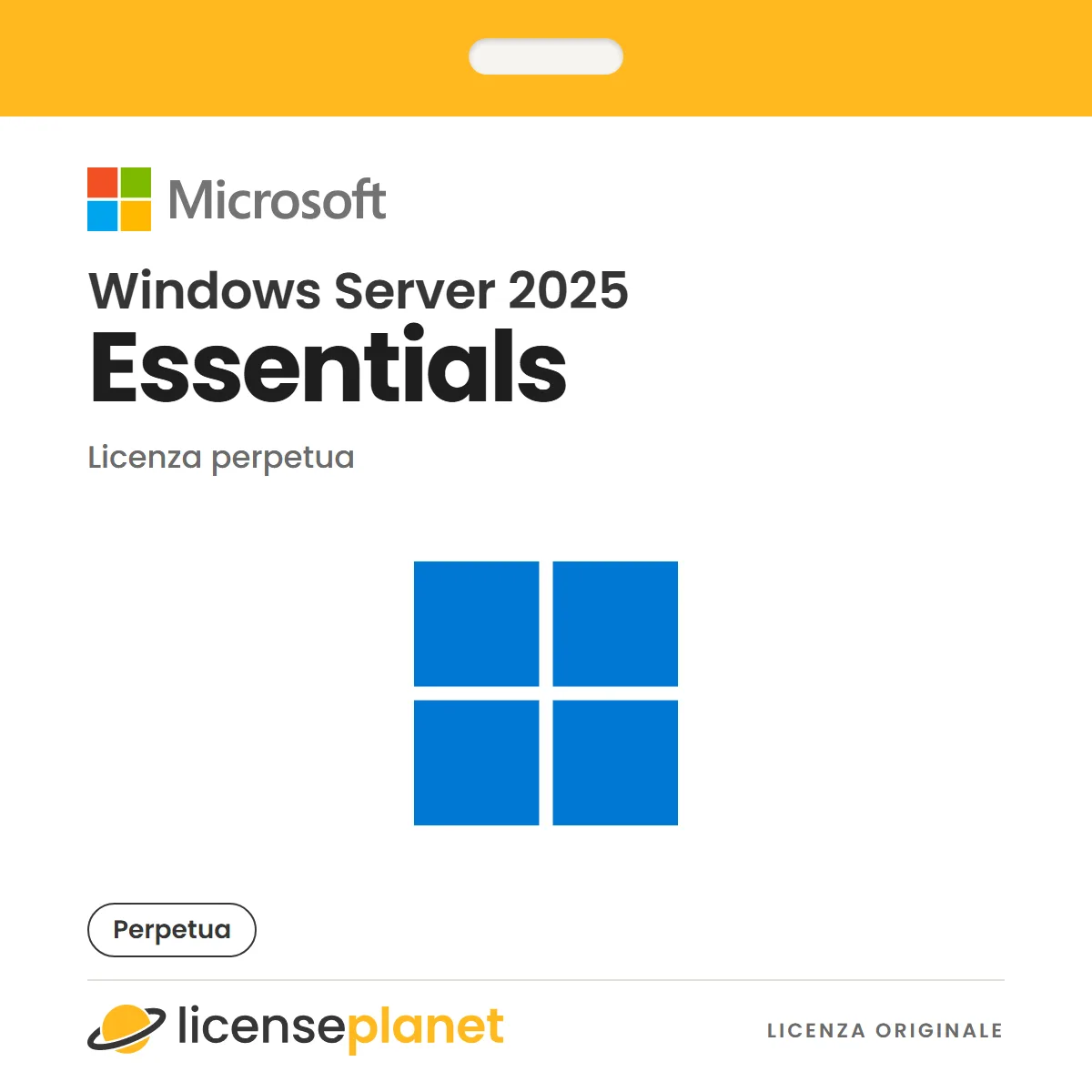 Microsoft Windows Server 2025 Essentials
