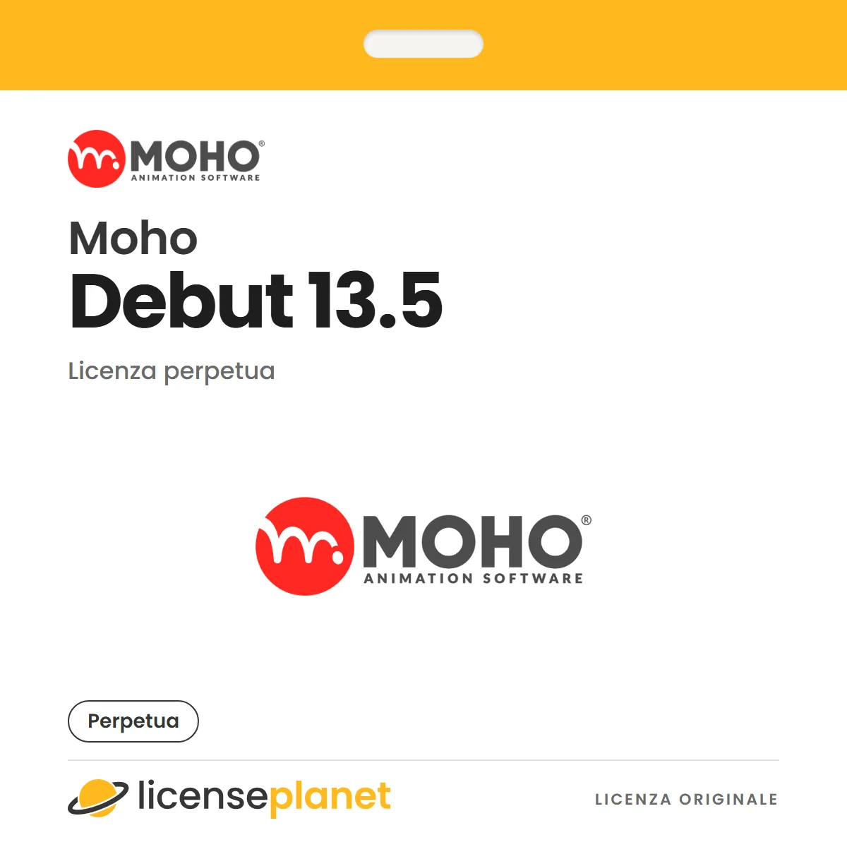 Moho Debut 13.5