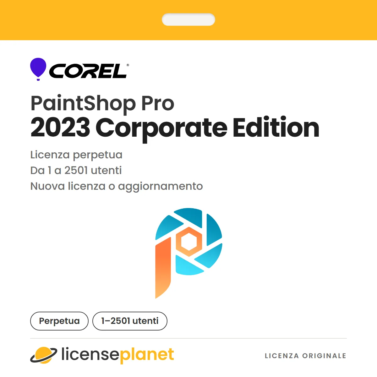 Corel PaintShop Pro 2023 Corporate Edition