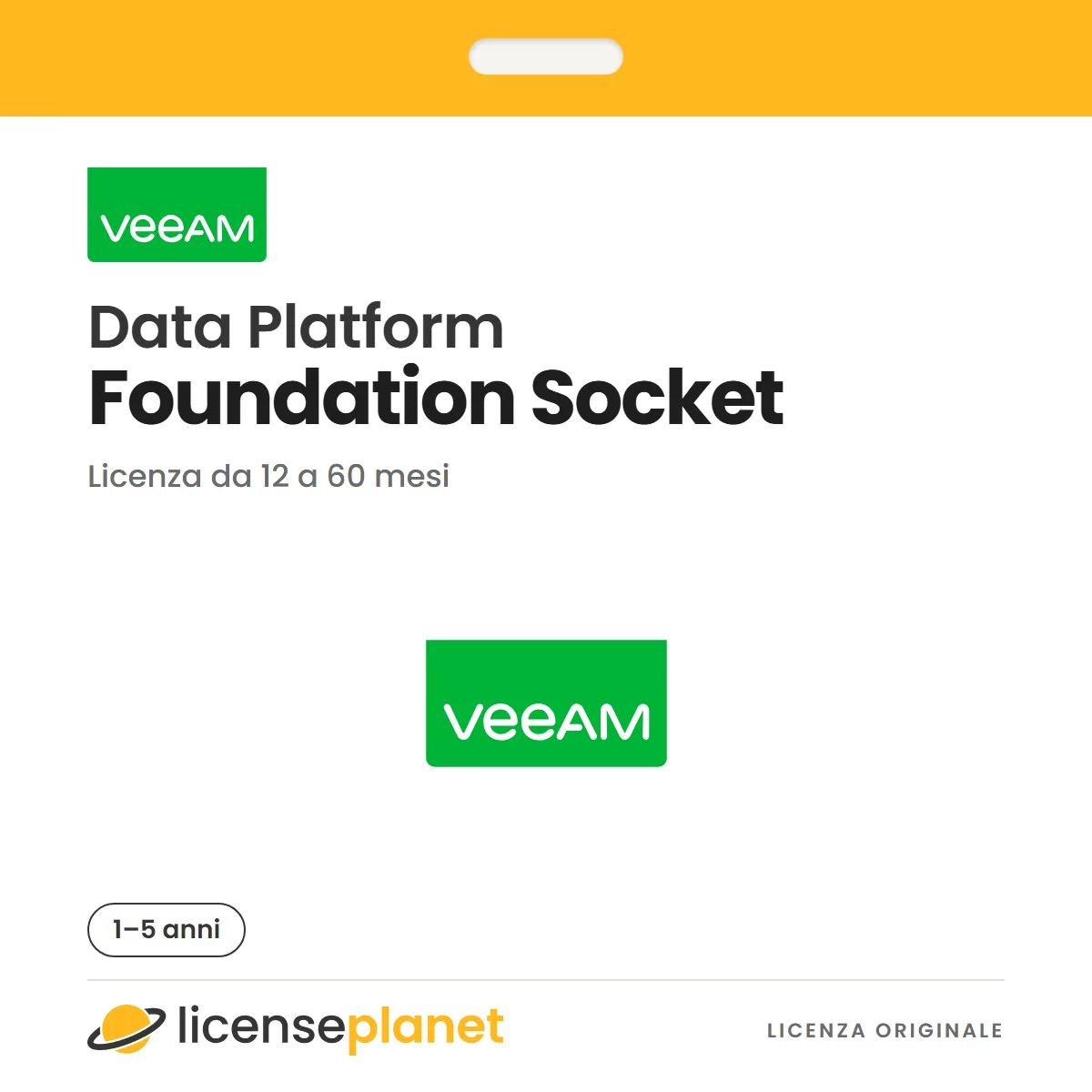 Veeam Data Platform Foundation Socket License