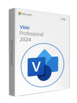 Microsoft Visio Professional 2024 BIND – Diagram and Flowchart Software for Windows