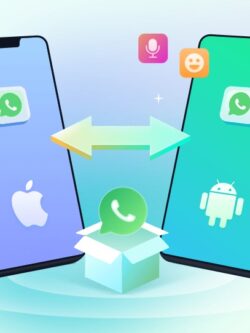 EaseUS ChatTrans Pro – Transfer WhatsApp Chats Between iPhone and Android Devices