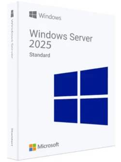 microsoft windows server 2025 standard licenza license digital key